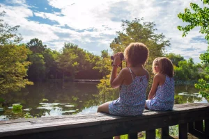 Best outdoor activities in League City